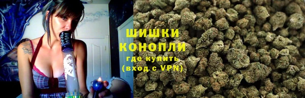 Альфа ПВП Аркадак