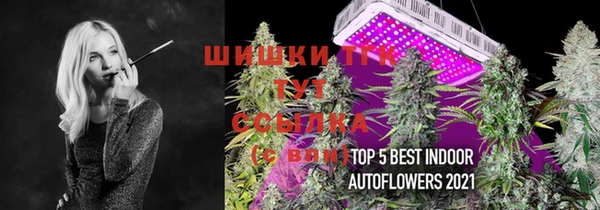 Альфа ПВП Аркадак