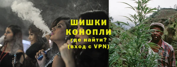 Альфа ПВП Аркадак