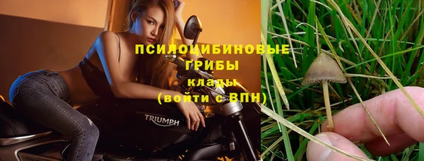 Альфа ПВП Аркадак