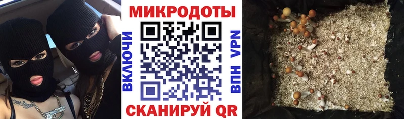 МЕГА зеркало  Меленки  Псилоцибиновые грибы GOLDEN TEACHER  купить наркотик 